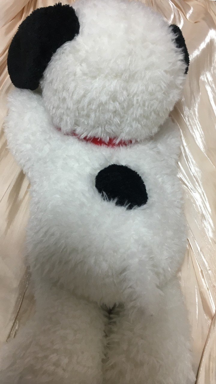 日々是スヌーピー 湯たんぽ編 もも Note