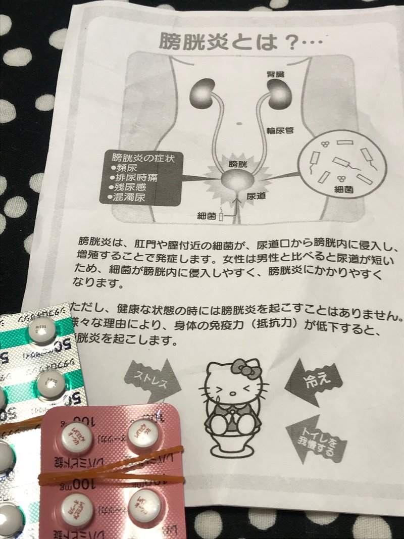 膀胱炎と身体のデトックス タニミズルイ Note 膀胱炎と身体のデトックス タニミズルイ Note