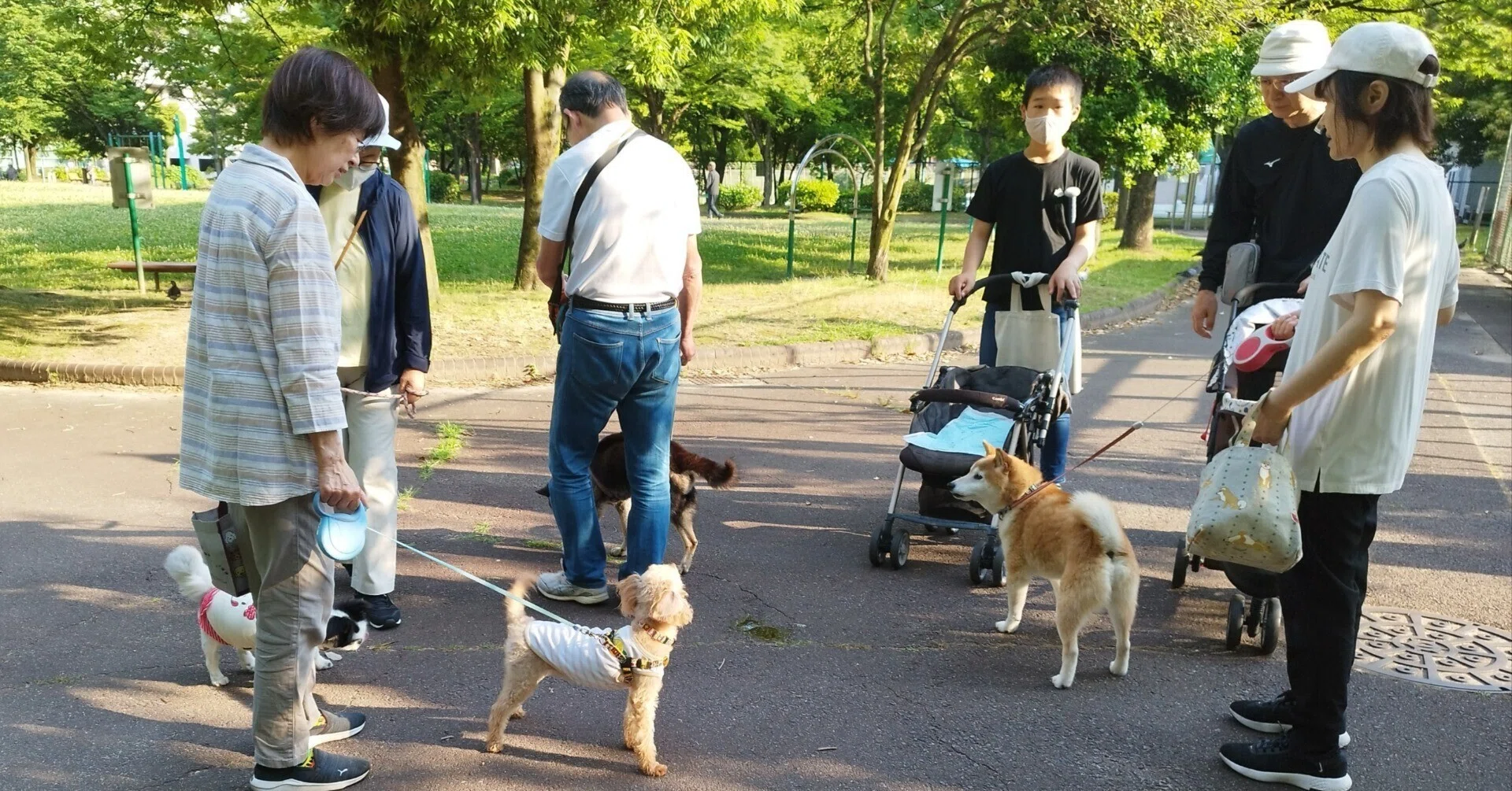 ペットと散歩 朝の公園、シニア達、ペットの犬、警察｜オーヤン（OuYang）