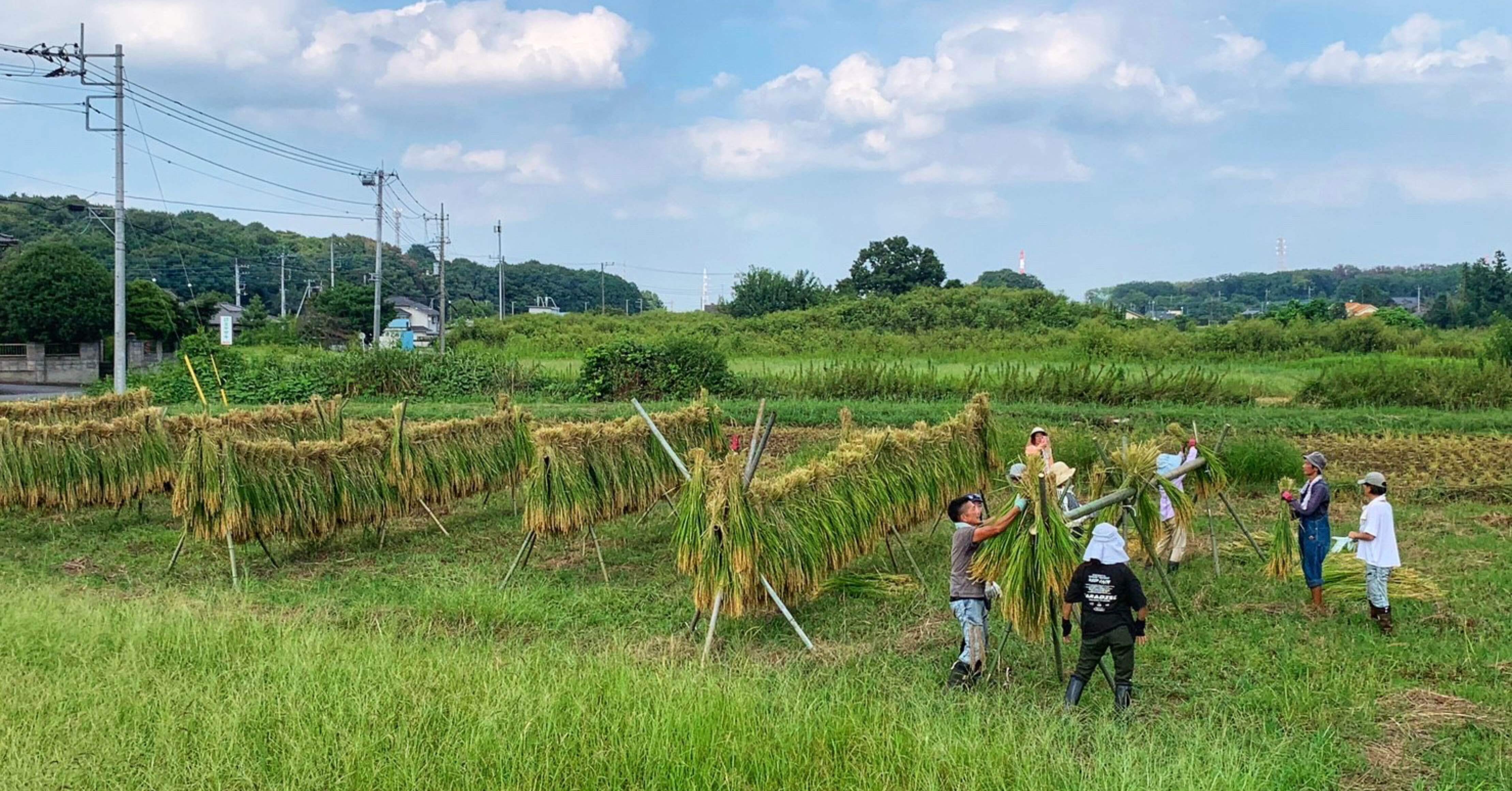 日高田んぼ女子プロジェクト｜& farm (アンドファーム)