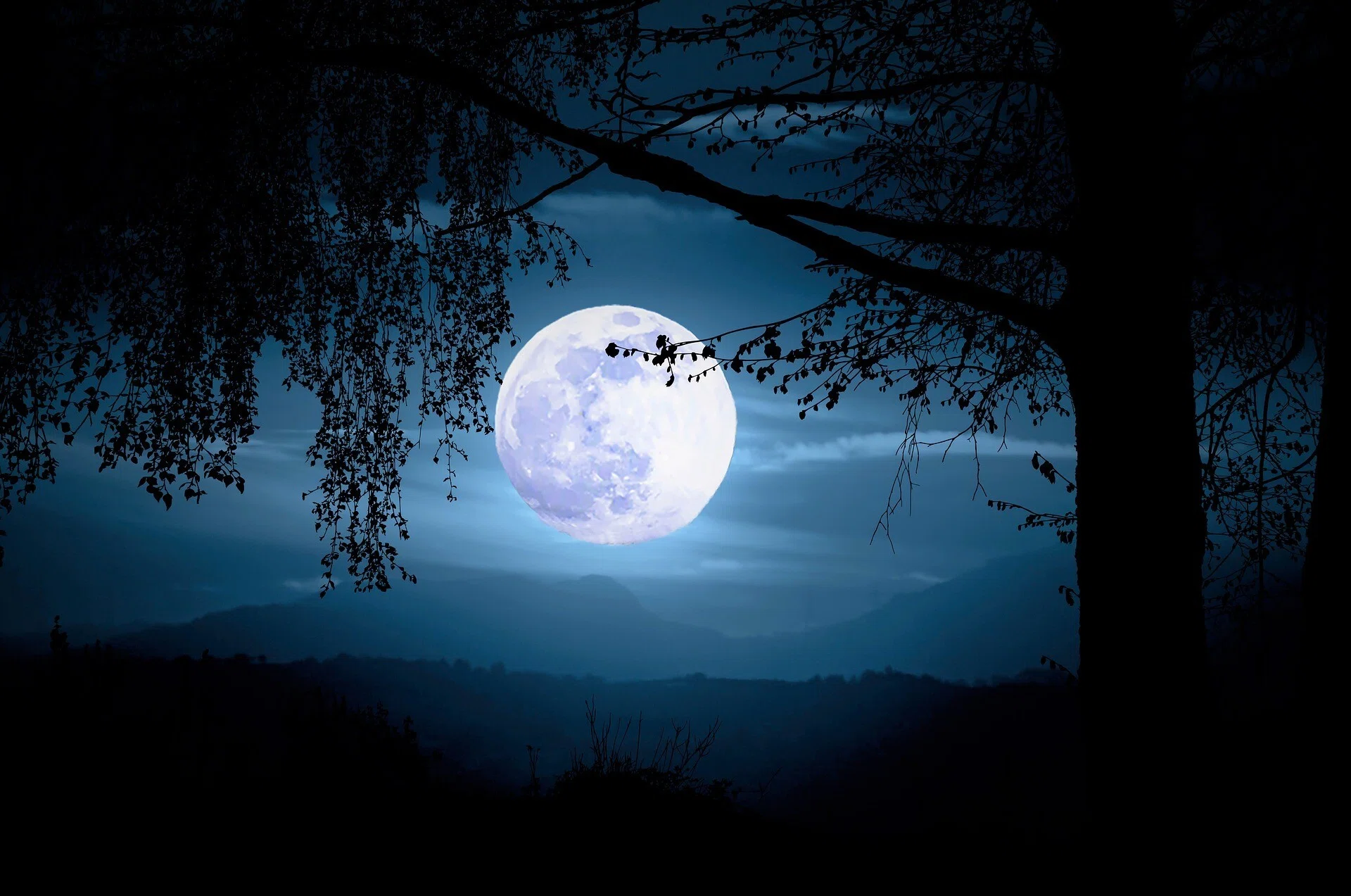 闇夜に輝く Shine_in_the_dark_of_night|nojisuma