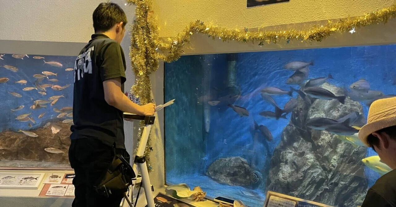 金色に輝く水槽あり✨｜桂浜水族館 公式