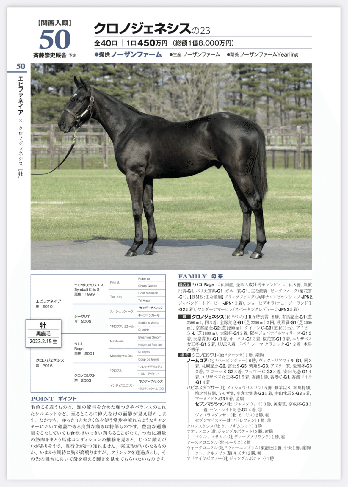 一口馬主】クロノジェネシスの23に出資しました！｜ケン・モーチ