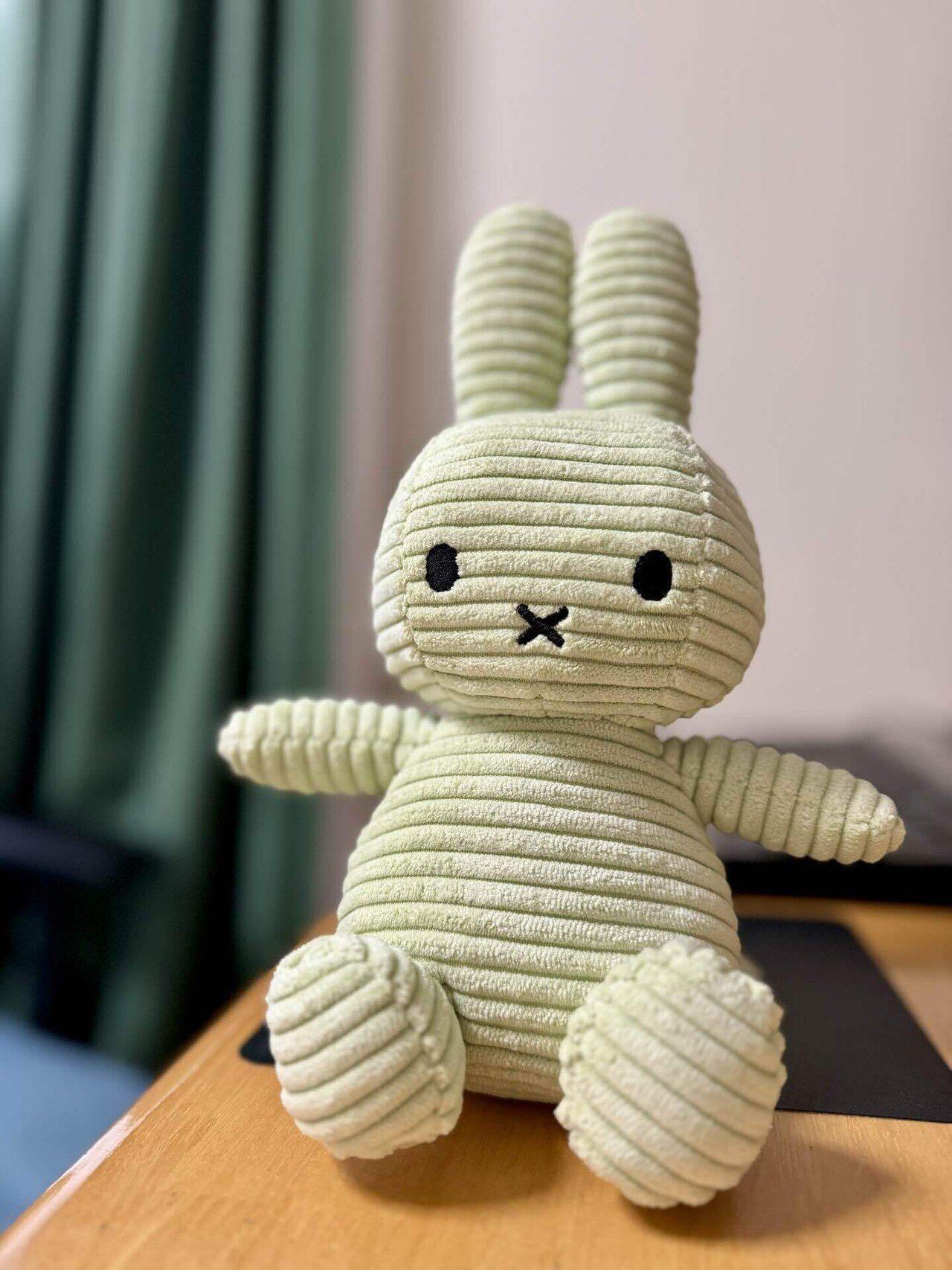 オランダの旅でミッフィーが気づかせてくれた、「ぬい撮り」の面白さ