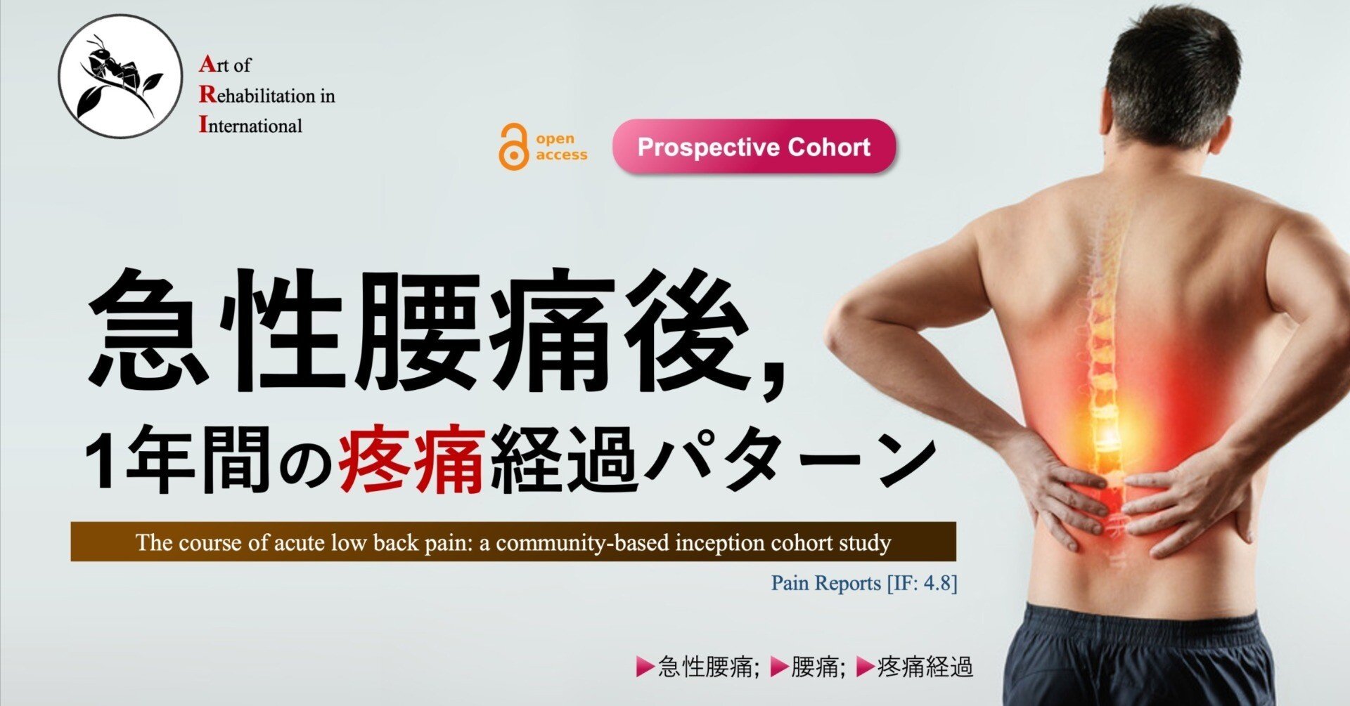 腰痛の診断と治療 (LOW BACK PAIN) 腰痛の原因を探る──『椎間板性腰痛』の診断と治療方法」 ｜ 成