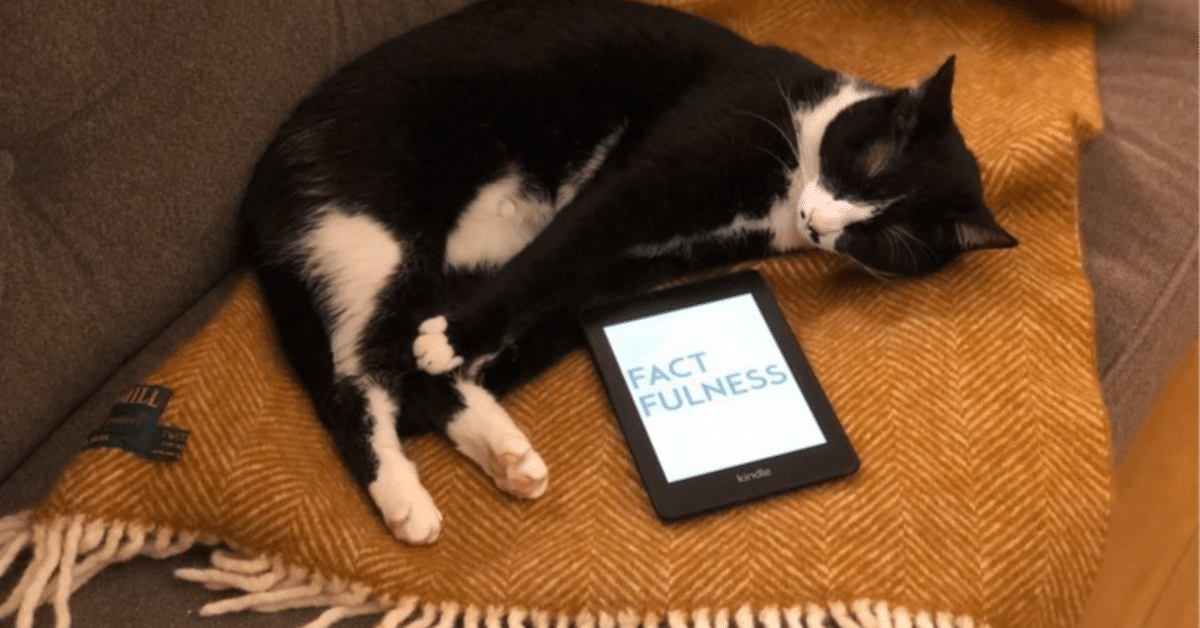 人を堕落させる！ごろ寝タブレット環境を紹介するよ！｜まぐらばカイ