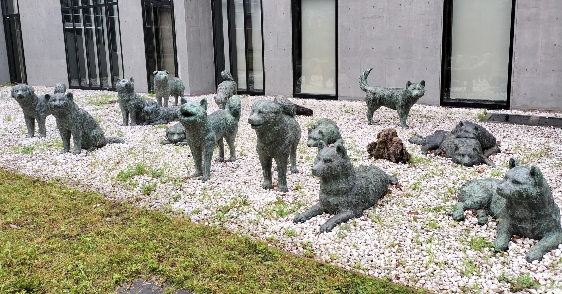 南極に行った猫と犬と鳥｜エト