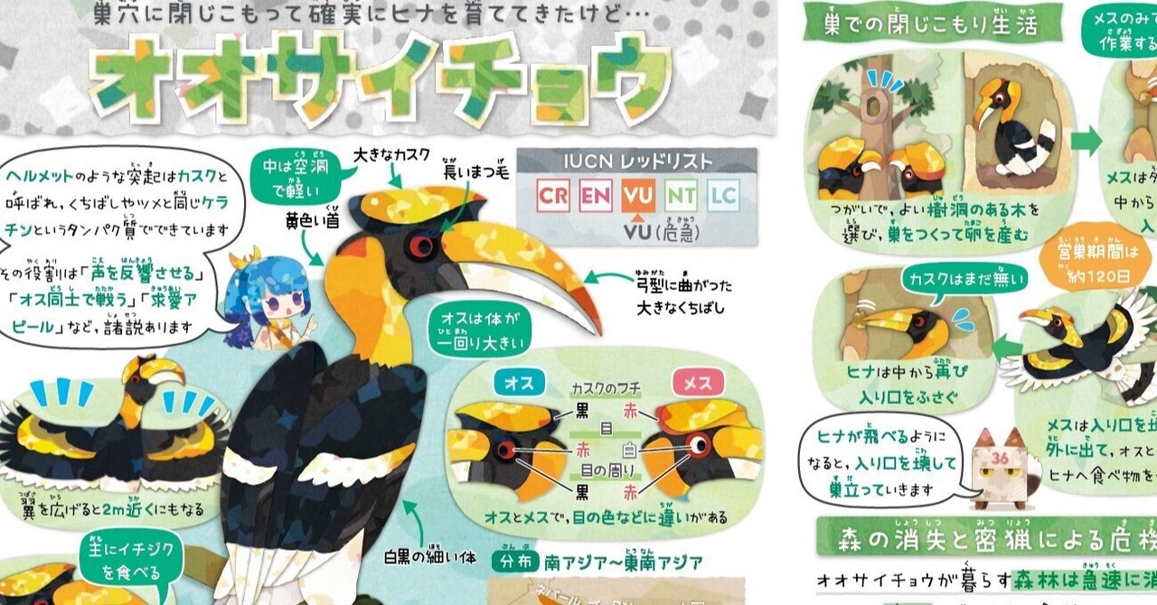 サイとガチョウがななくなったら…(サイン入り！レア‼️) だってアイドルですから - 自然動物園 - 公益財団法人 えどがわ