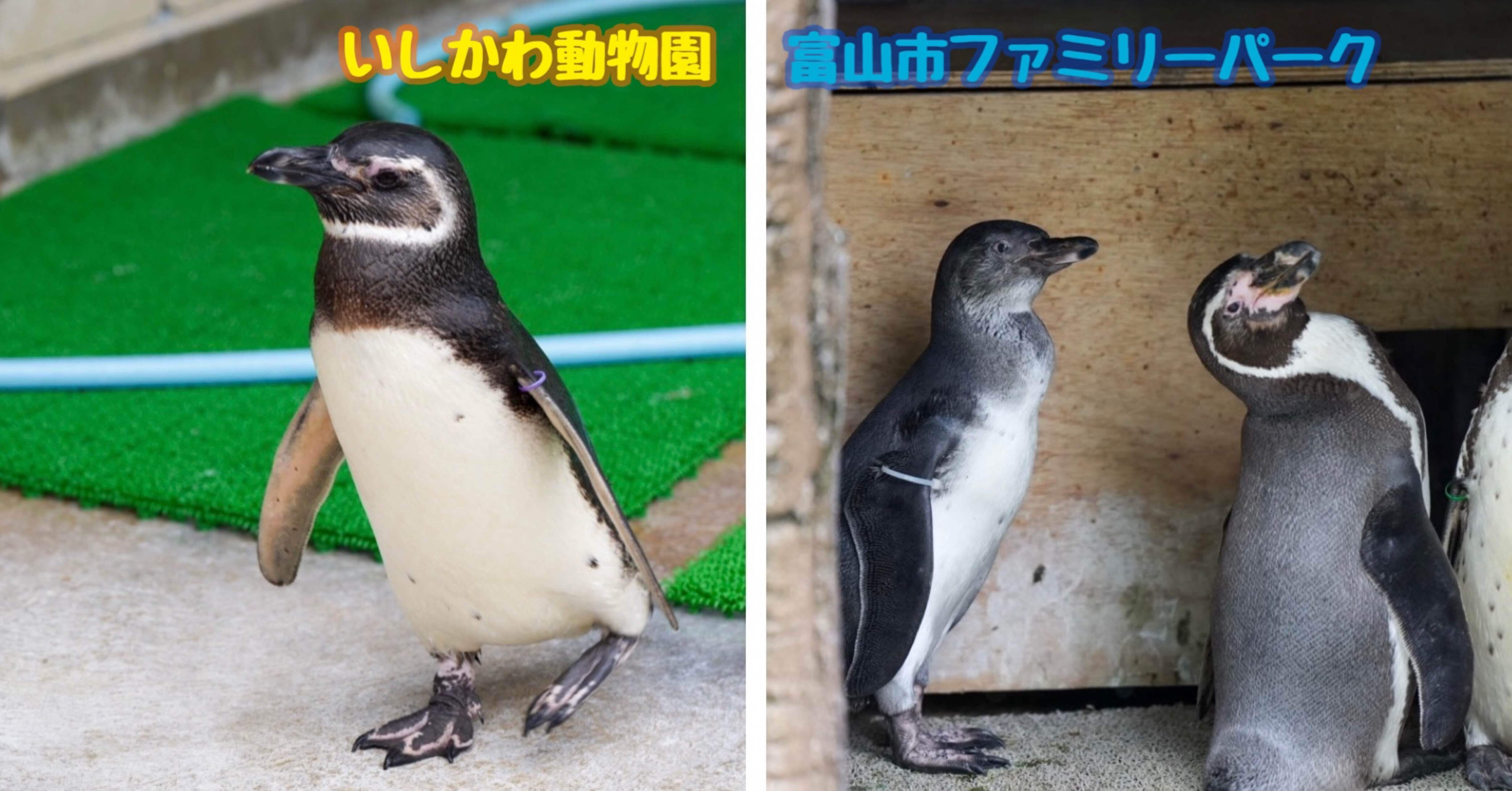 b65a7a7238011f96dac3b663e25517