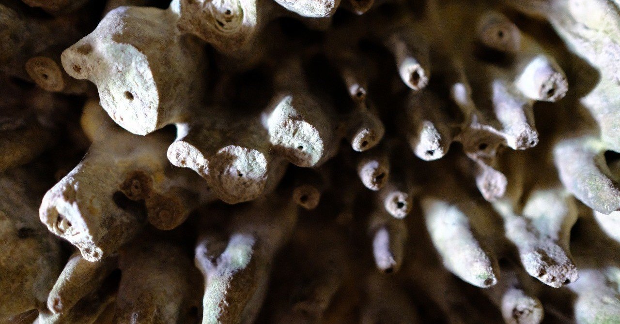 付き合う人を選ぶセンス コンセプト クリエイター 浅倉彩 note