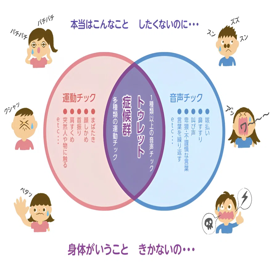 トゥレット症｜障害児向け視能訓練士 でし丸