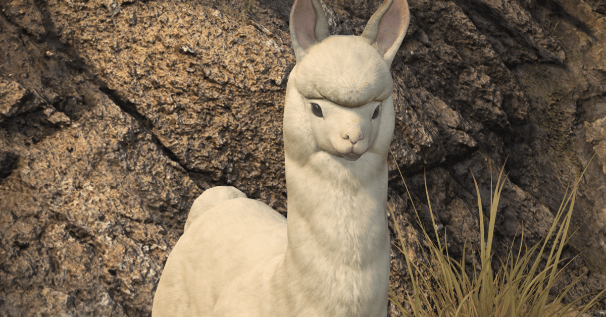 アルパカ様　S (シェ)×2 アルパカ様 S (シェ)×2 Amazon | ライフライク シャカシャカアルパカ