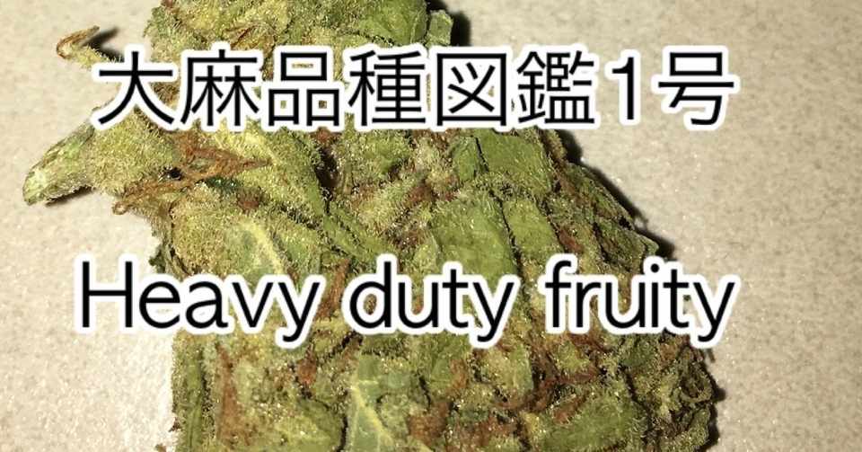 大麻品種図鑑1号 Heavy Duty Fruity Strain Cannabis Japan Note