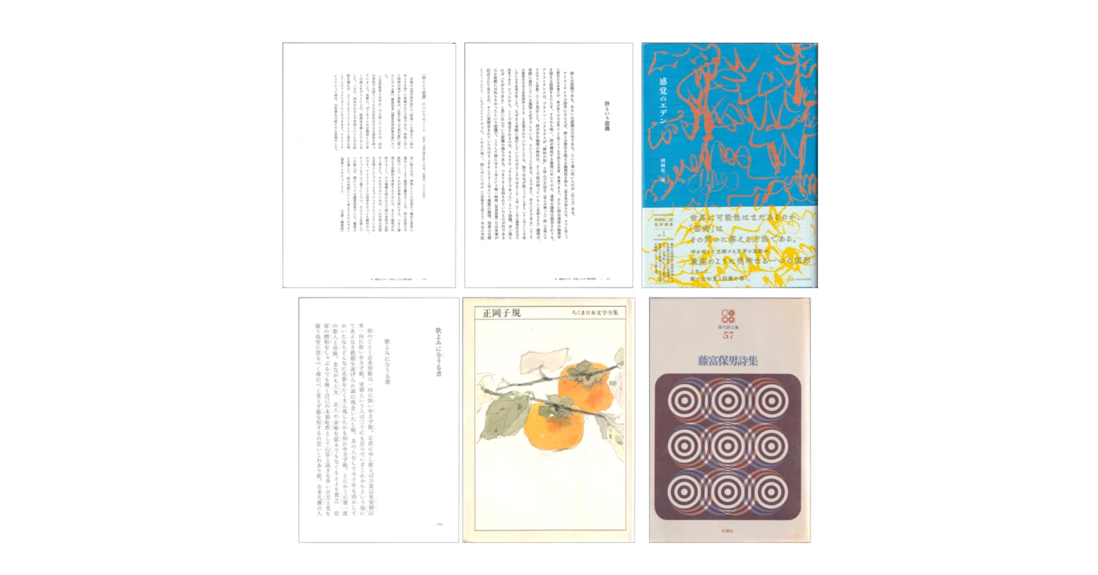 岡崎乾二郎「詩という認識」（『感覚のエデン』）／『藤富保男詩集
