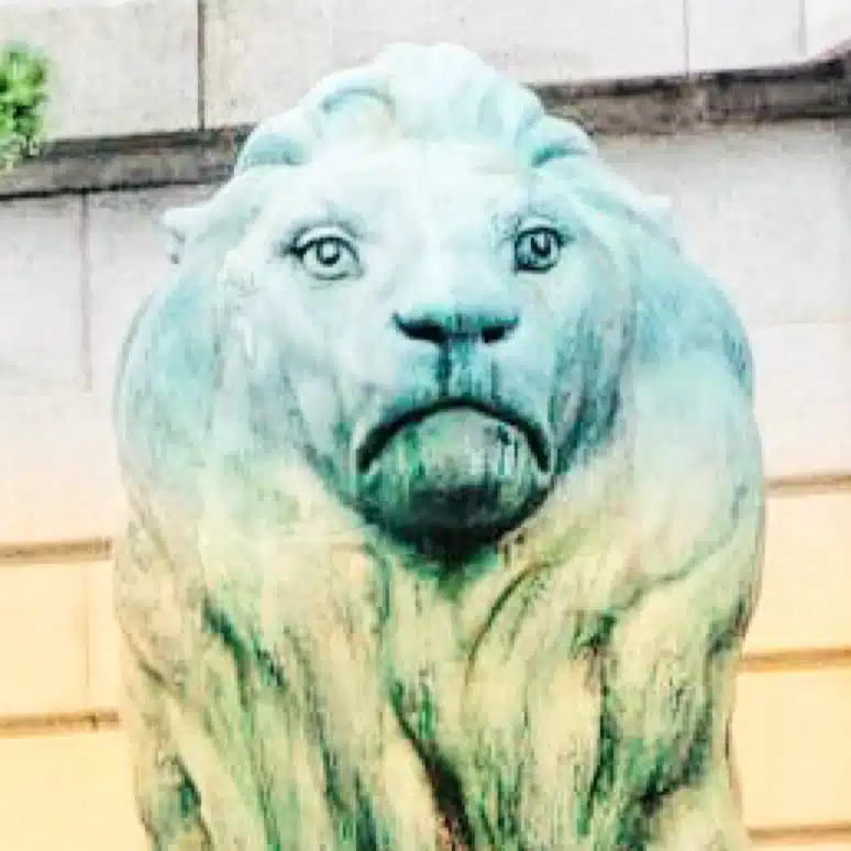 東熊猫