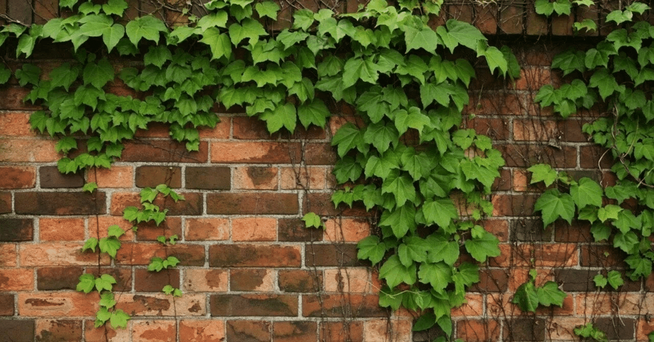 【名探偵コナン】第3巻感想 ※ネタバレあり注意