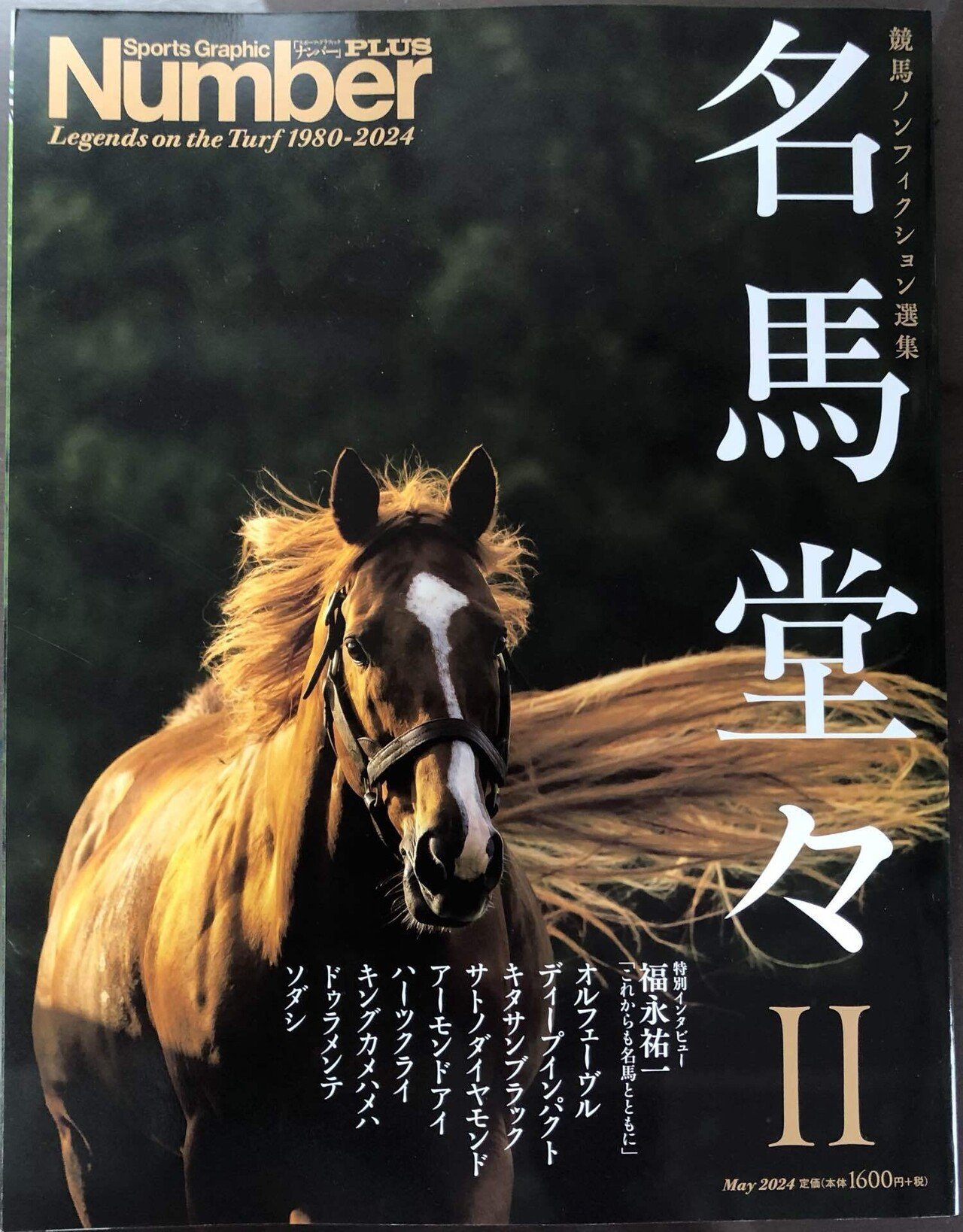 名馬堂々Ⅱ」（読書感想）｜稲庭うどん