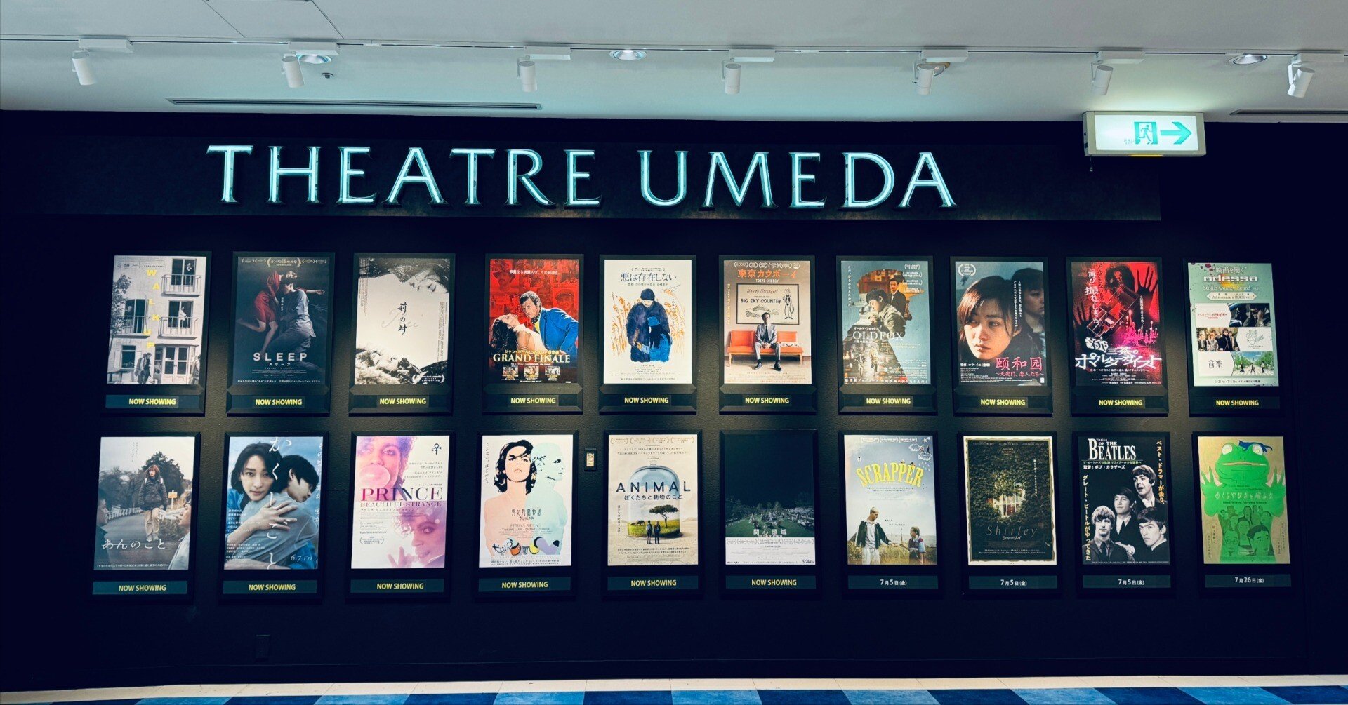 近くて遠い、大阪。｜田中稔彦