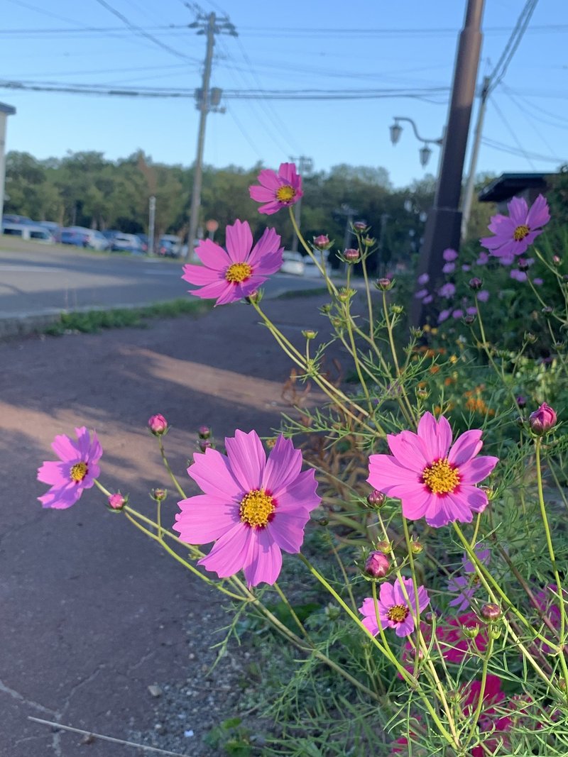 北海道旅行2019.9.4 008