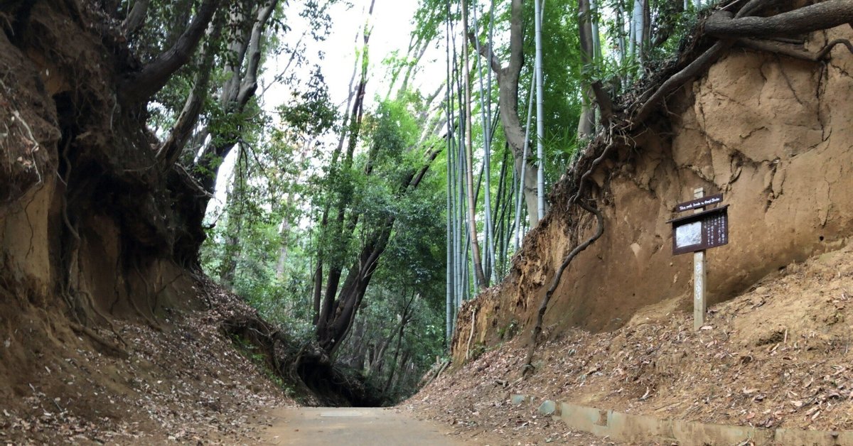 小野路宿 鶴見川遺跡紀行（25）｜とぅーむゅらす