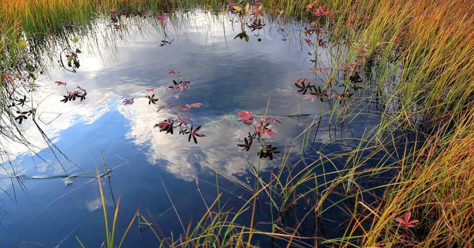 やめた途端に人は死ぬ 成長の法則と 死海 の共通点とは エネルギーの大富豪を目指す リーダーの為の健康論 秘密のコミュニティ Elixir Club の裏話 アンチエイジングの殿 Note