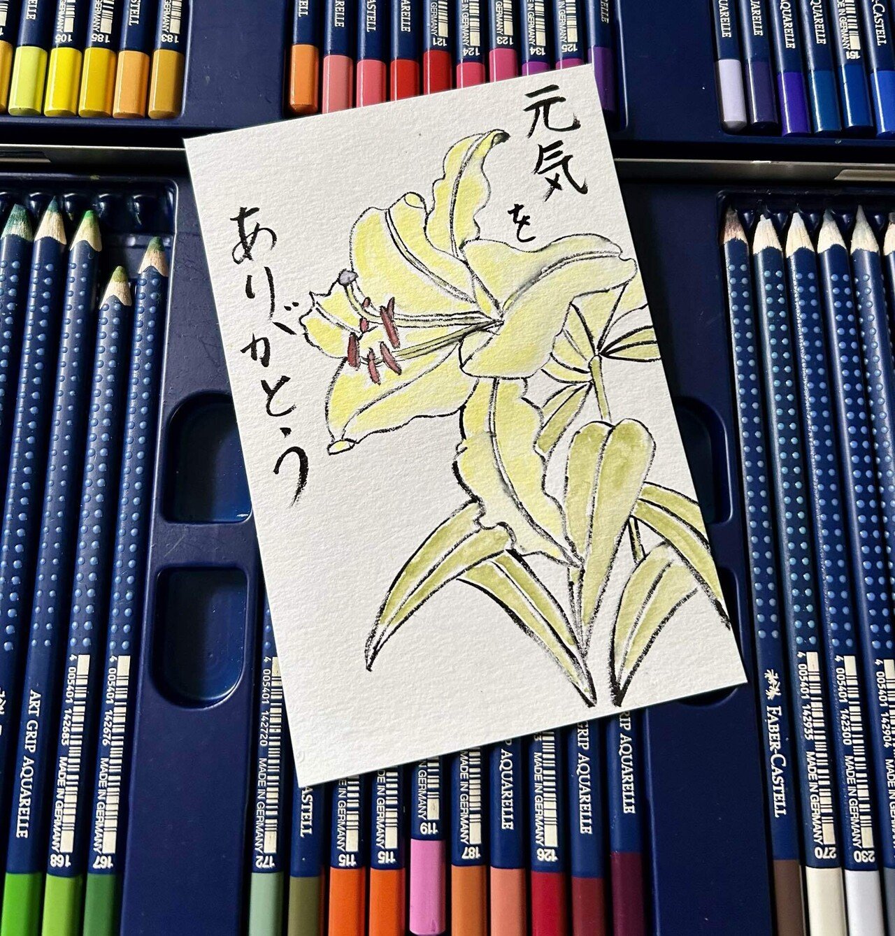 【未開封】暮らしの絵手紙百科 51IETPXNN2L._UF350,350_QL50_.jpg