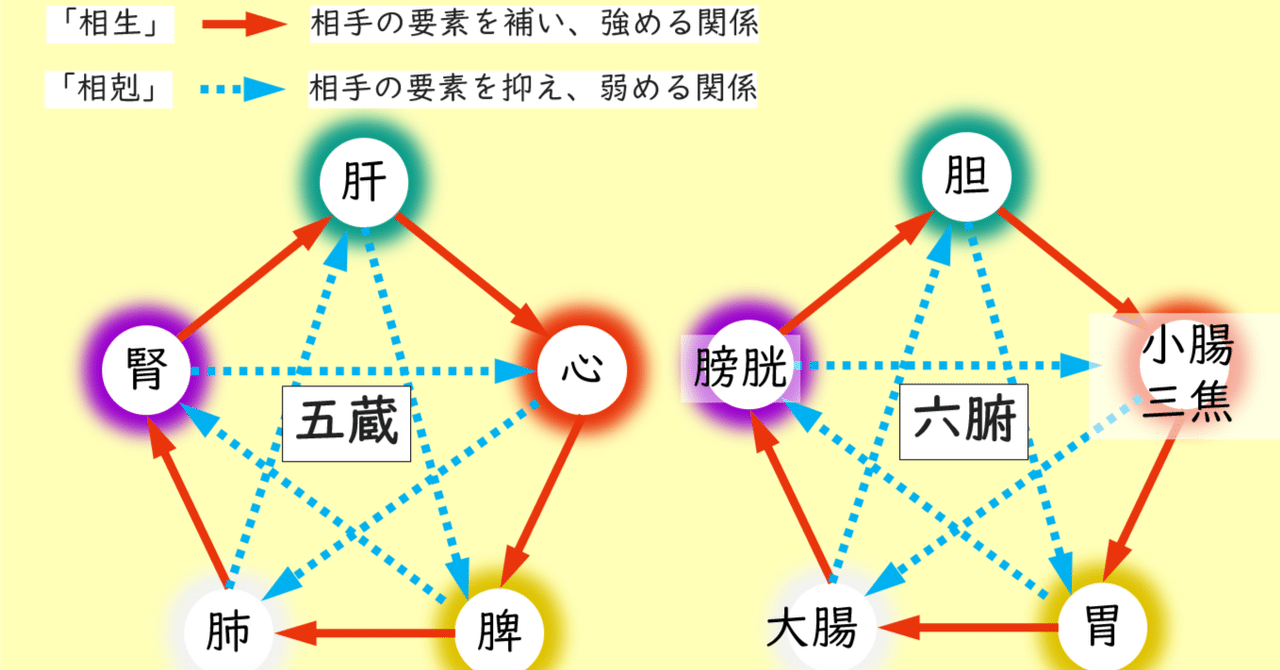 東洋医学講座 第2巻 肝臓・心臓編 （東洋医学・中医学・漢方