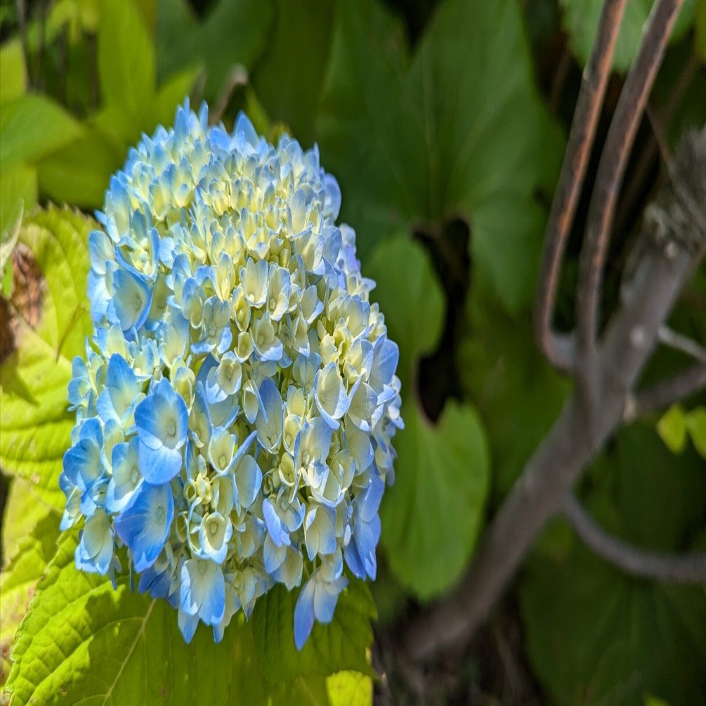 honoが気になっていたので、Cloudflare Workerからはじめます｜jnkykn