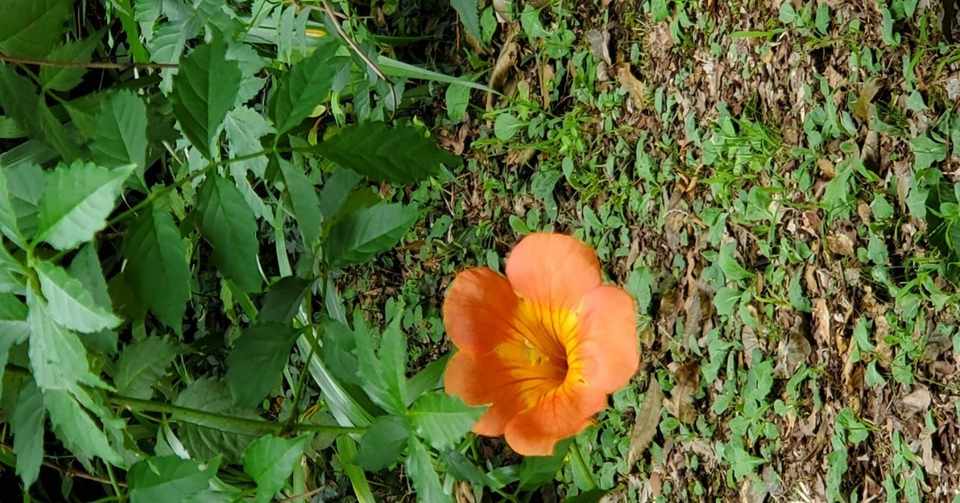 旅するオタク ダウトで遠征するよ ちみこ Note