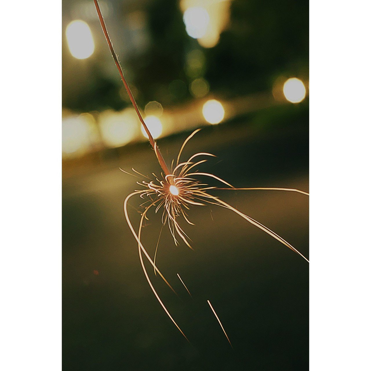 すずちゃんの 夏の終わりの小さな花火大会 19 08 24 11 スナップ寅さん Note