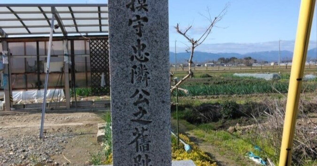 播磨國越部荘 図録編 広域水田遺跡調査報告書Ⅰ