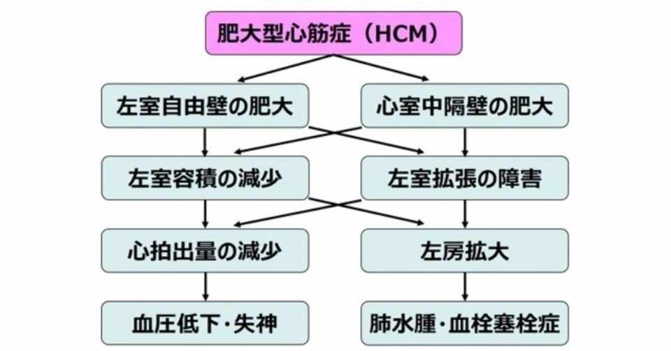 肥大型心筋症専門外来 日本医科大学付属病院