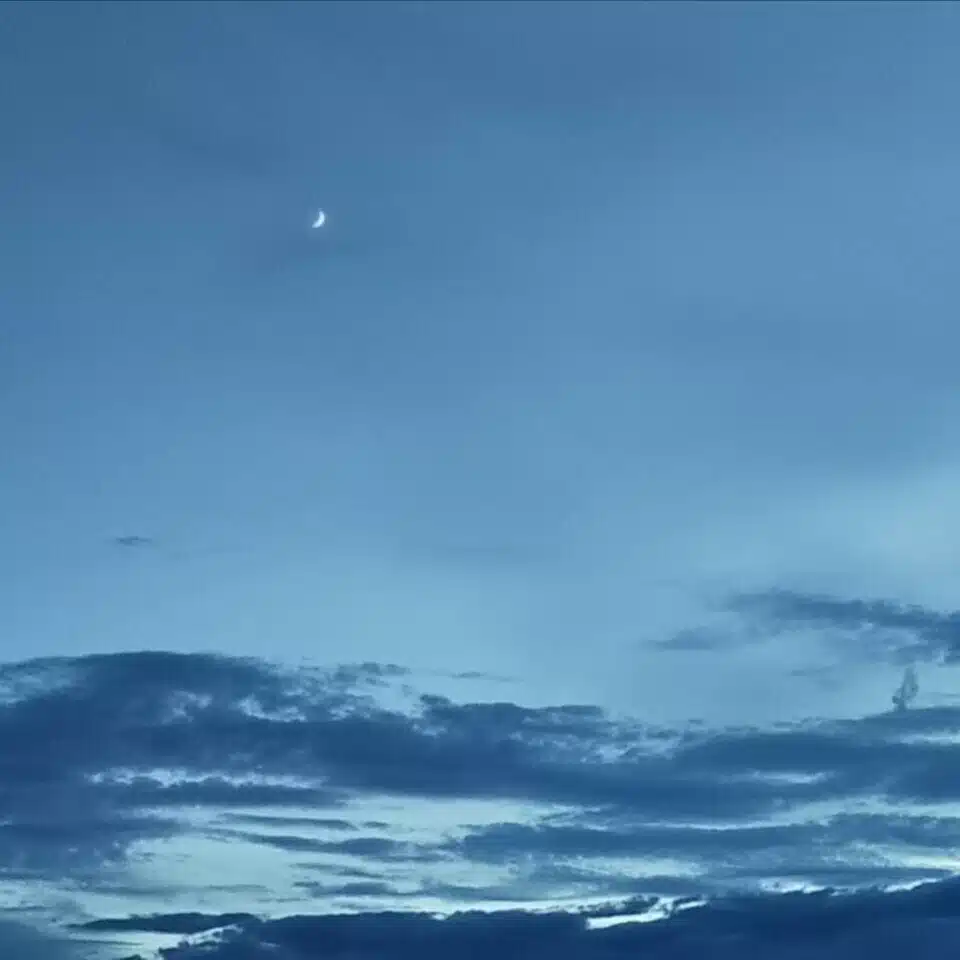 史