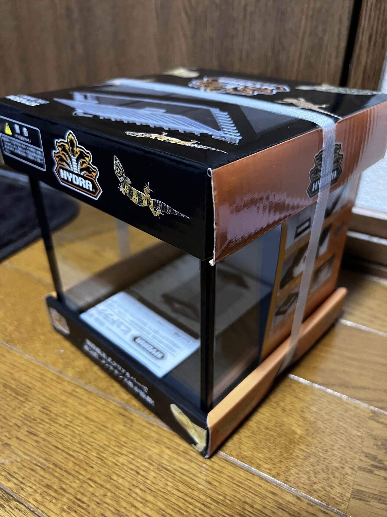 タランチュラ、奇虫、昆虫、ケージ付き