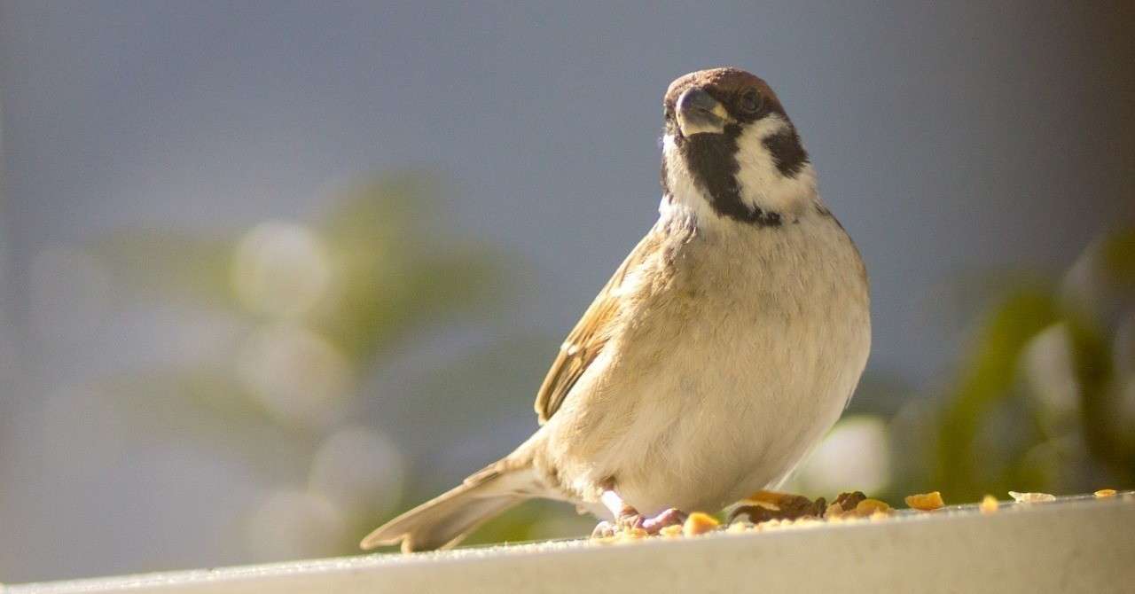 本日分の散文の短文2 9月23日 東洋子 Note