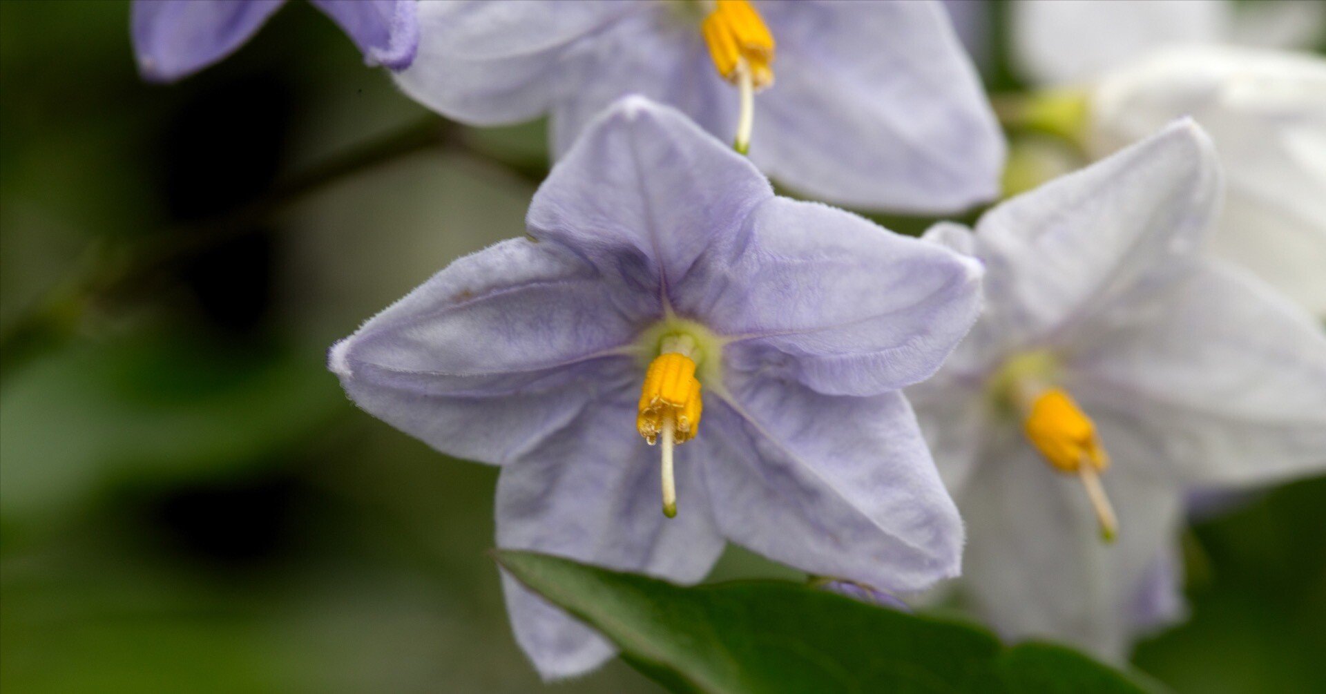 10月22日…さみしがりや｜taku