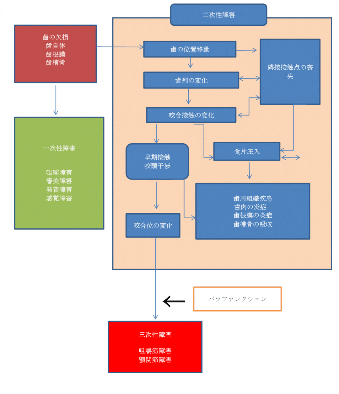 歯の欠損に伴う障害で次に問われるのは？｜歯科医師国家試験 CBT