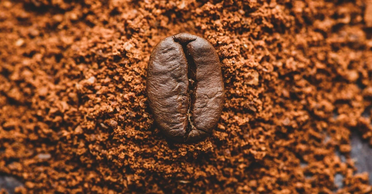完璧な挽き目を極める:コーヒーの微調整のプロのコツ|Virtuoso Coffee