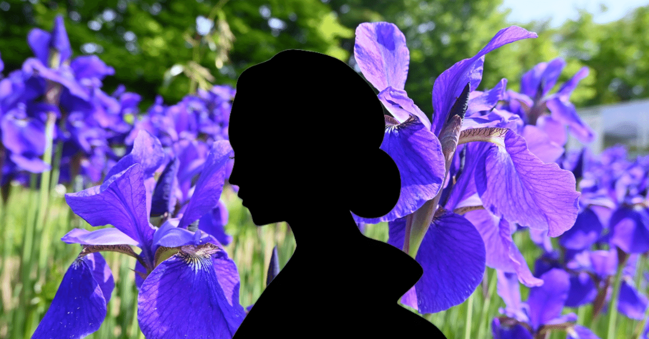 あやめさん #SS #公募ガイド選外佳作｜若林明良