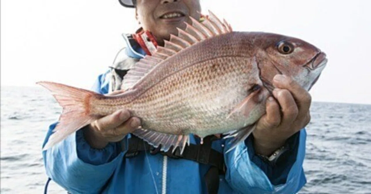 三浦半島から春のコマセマダイ釣り 毘沙門 浜福丸｜玉置標本：私的標本