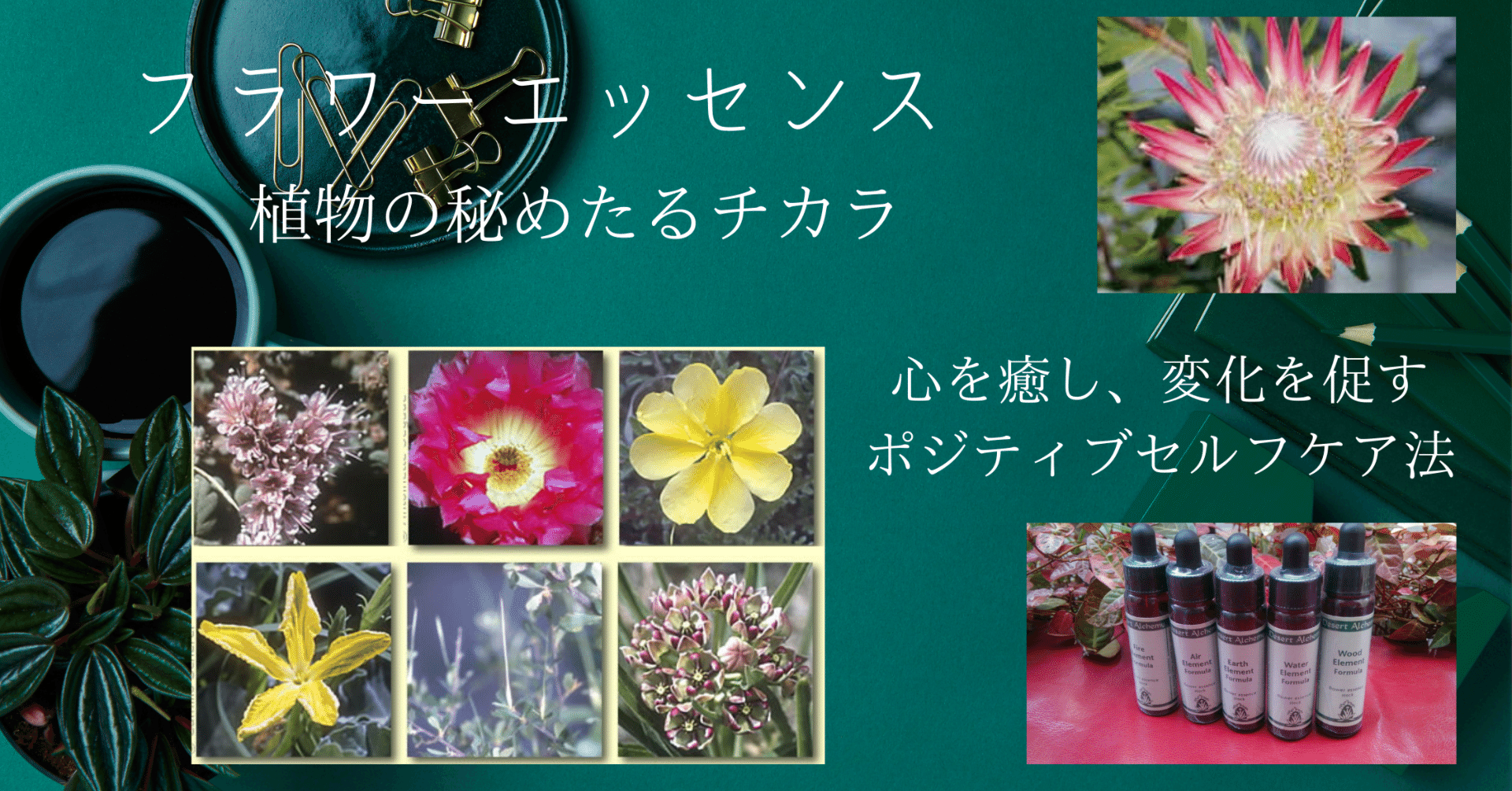 ☆SALE~7/15迄☆アリゾナエッセンス｜グラナダ・ホリスティック