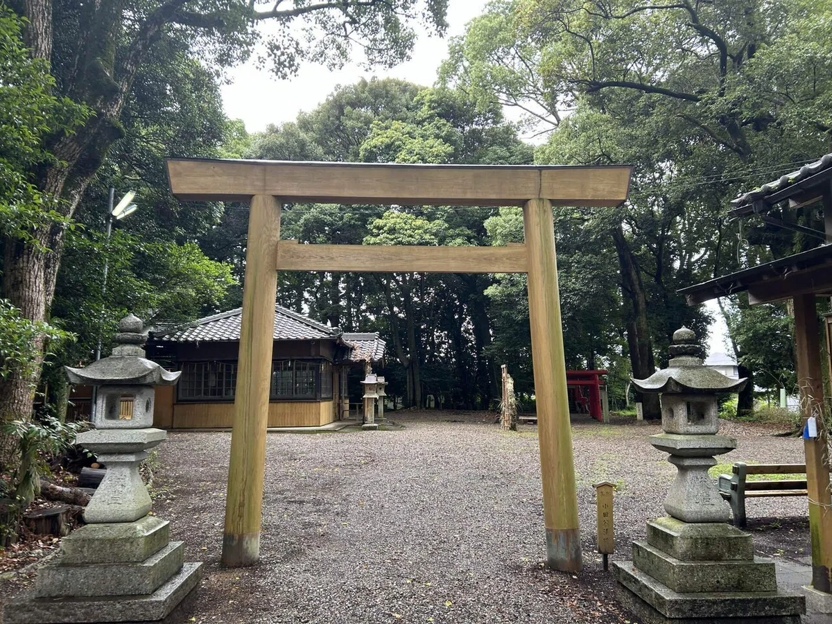 画像