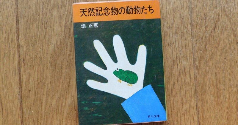 畑正憲」の人気タグ記事一覧｜note ――つくる、つながる、とどける。