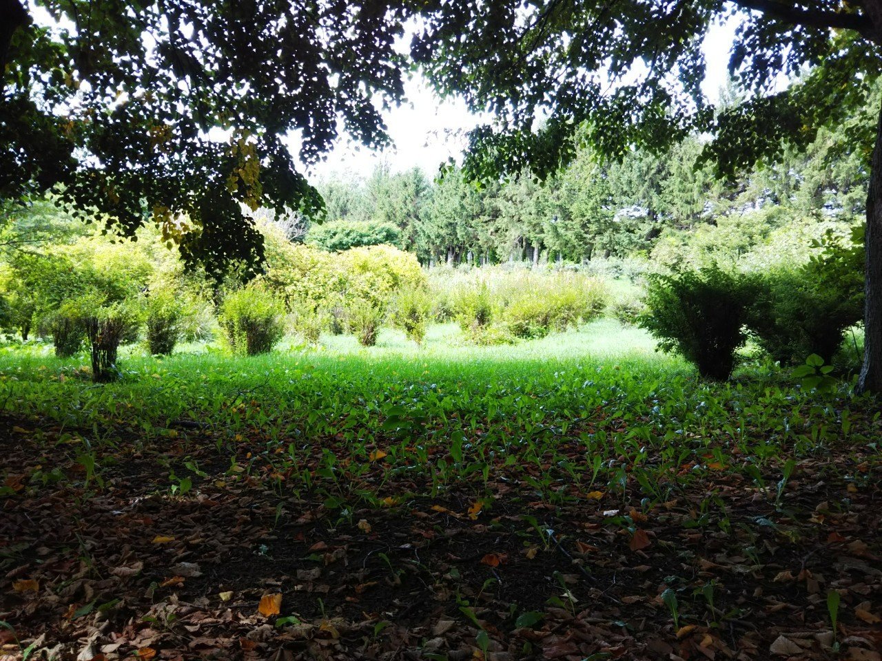 先生と言われるほどの馬鹿でなし 小田島裕一 オダジ Note