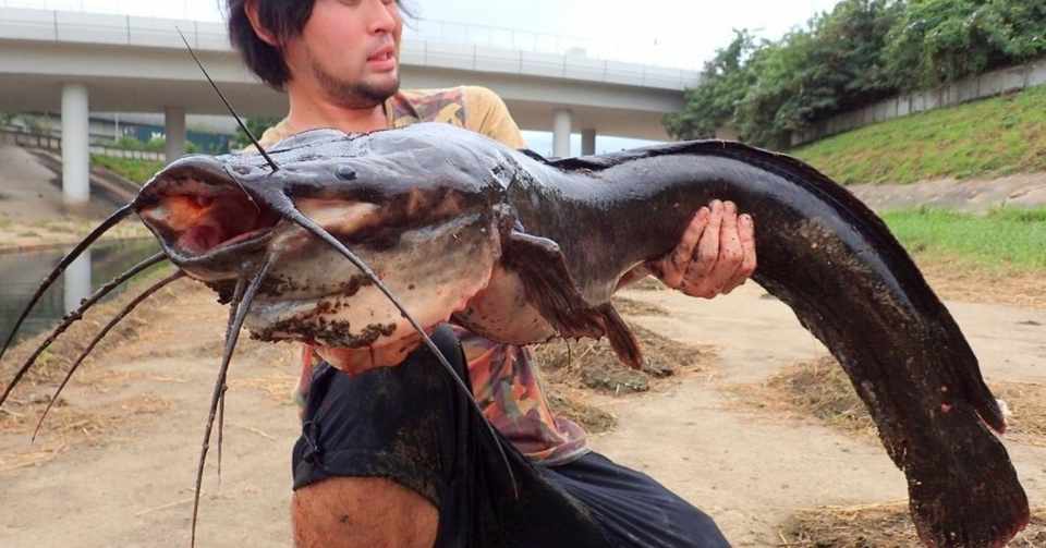未明湖の怪魚を釣り上げよ 巨大魚ハンターはいぐーの波瀾万丈挑戦記 はいぐ Note