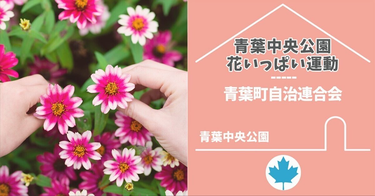 青葉中央公園花いっぱい運動～｜もみ・あおコミュニティ