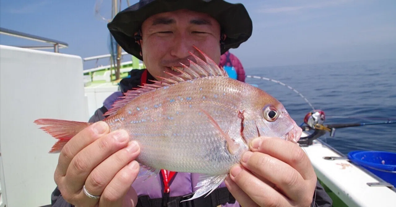 乗っ込み間近はマジか？剣崎沖でコマセマダイを狙う／毘沙門 浜福丸