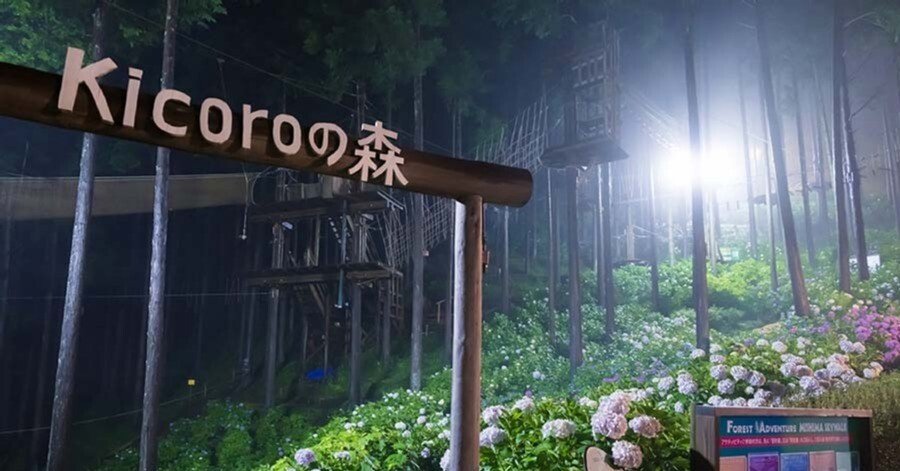 夜の紫陽花＠X-T50 XF1650｜borichan | 旅するカメラ