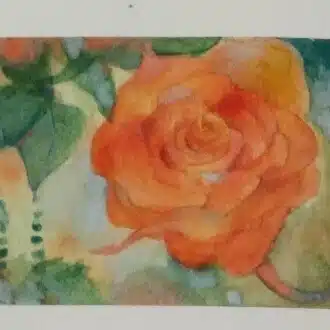 彩