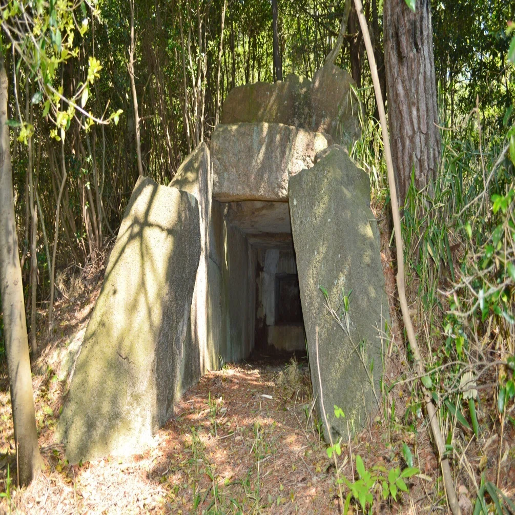 河内飛鳥の渡来（ブルジョア）人墓～オーコ8号墳～｜nitada
